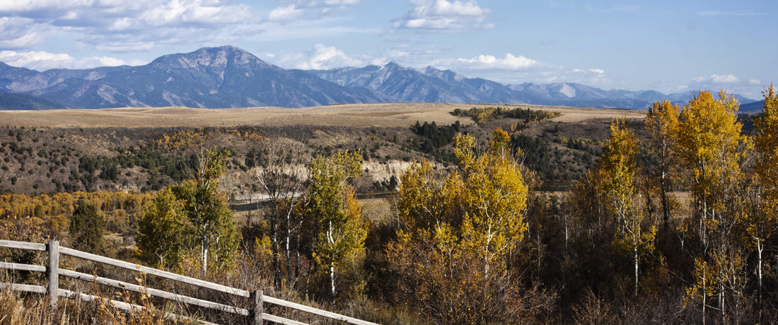 Essential RV Idaho: The Ultimate Guide to Exploring the Gem State