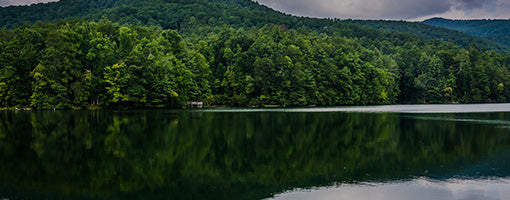 Essential RV Georgia: An Insider’s Highlights of the Peach State