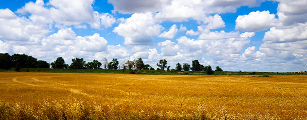 Essential RV Heartland: 8 Must-See Destinations in the “Middle” of America