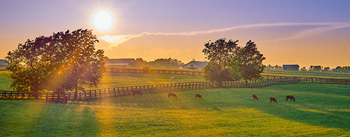 Essential Kentucky RV Travel: Taking in the Spirited Charms of the Multifaceted Bluegrass State