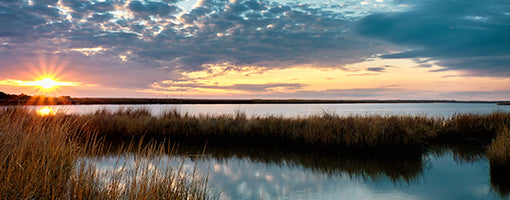 Essential RV Louisiana: Discovering the Pelican State’s Superlative Attractions