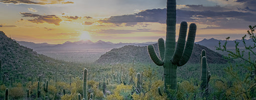 Essential RV Arizona: The Top Destinations for Nature Lovers