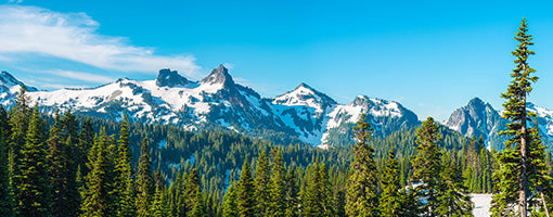 Essential Washington RV Blog: A First-Timer’s Must-List Across the Evergreen State