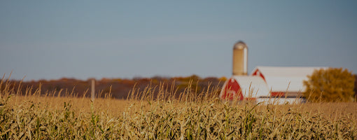 Essential RV Wisconsin: The Ultimate Guide to Exploring the Badger State