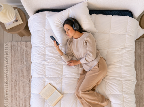 All-Season Alt-Down Duvet Insert