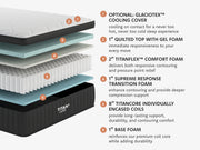 Titan Plus Luxe  layers